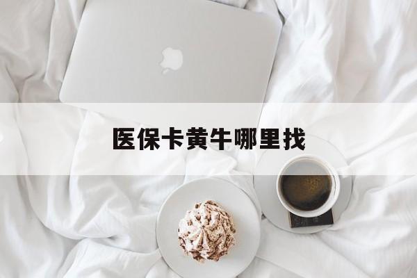安吉最新医保卡黄牛哪里找方法分析(最方便真实的安吉医保卡的事情去哪里咨询方法)